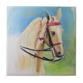 Tegels Tegeltje (Voorkant)