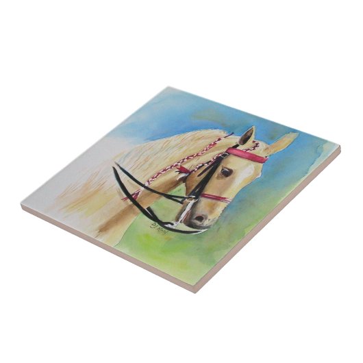 Tegels Tegeltje (Zijkant)