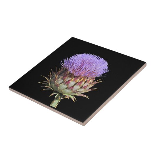 Tegels - Thistle Tegeltje (Zijkant)