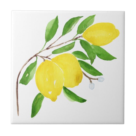 Tegels uit de Middellandse Zee, majolica, Siciliaa Tegeltje (Voorkant)