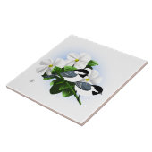 Tegels van de Chickadee Tegeltje (Zijkant)