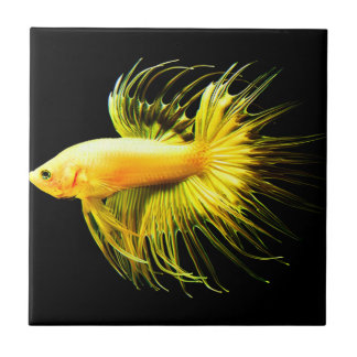 tegels voor tropische wanden tegeltje