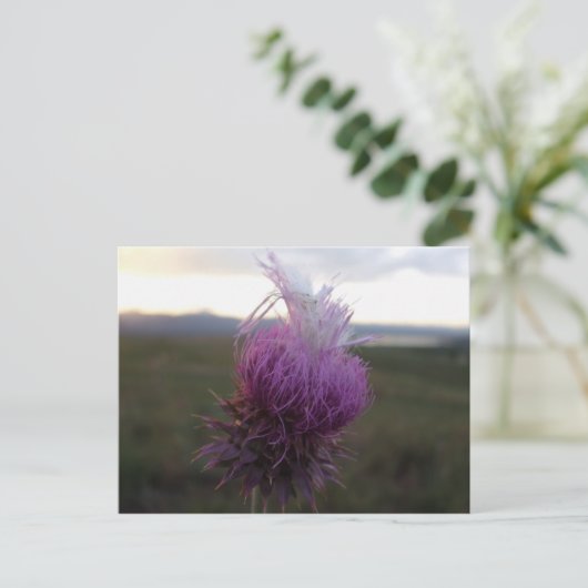 Tegen de Korrel Briefkaart (Staand voorkant)