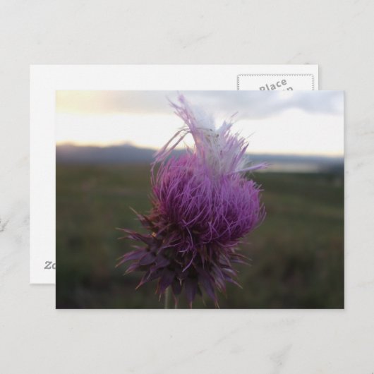 Tegen de Korrel Briefkaart (Voorkant / Achterkant)