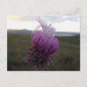 Tegen de Korrel Briefkaart (Voorkant)