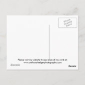 Tegen het licht van de sepia maan briefkaart (Achterkant)