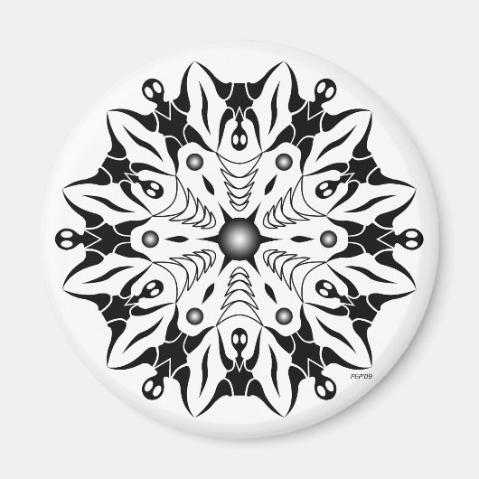 Tegengestelde standpunten magneet (Voorkant)