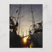 Tegenlicht bij 2 zeilboten in de haven. briefkaart (Voorkant)