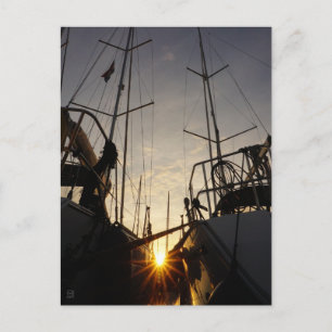 Tegenlicht bij 2 zeilboten in de haven. briefkaart