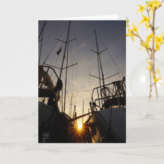 Tegenlicht bij 2 zeilboten in de haven. kaart (Gele Bloem)