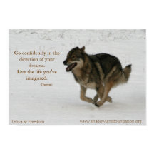 Tehya bij Freedom Wolflection Poster