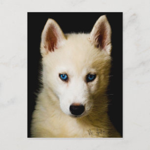 Tehya - Siberian Husky Briefkaart