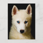 Tehya - Siberian Husky Briefkaart (Voorkant)