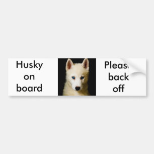 Tehya - Siberian Husky Bumpersticker