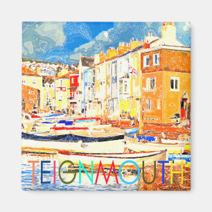 Teignmouth Magneet