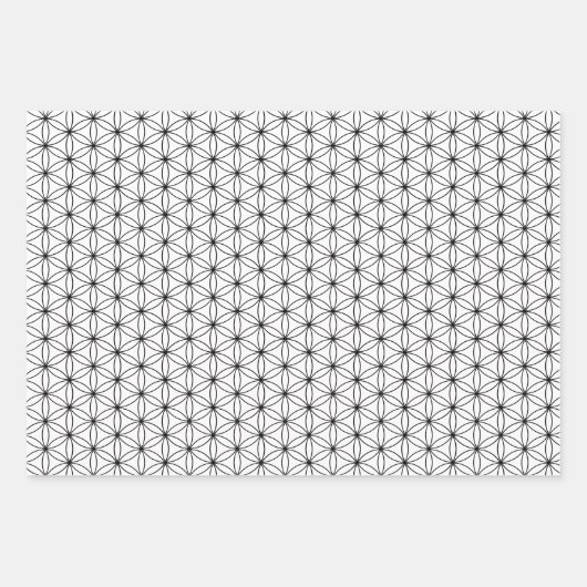  teisterpatroon voor zwarte en witte vloeren inpakpapier vel (Voorkant 2)