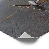 Teken afdrukken/Poster Poster (Hoek)