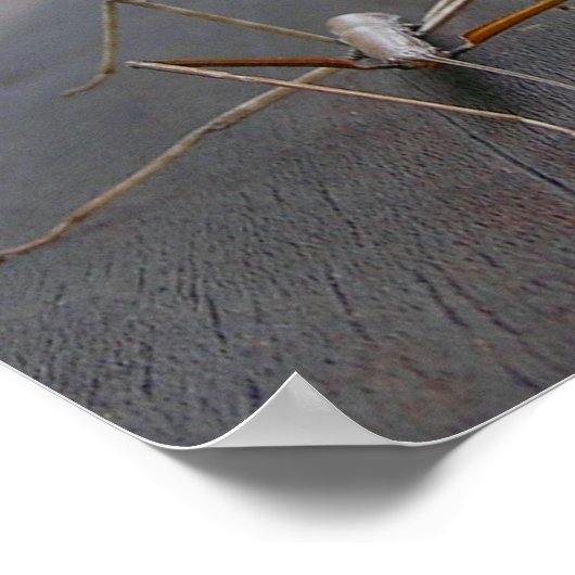 Teken afdrukken/Poster Poster (Hoek)