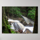 Teken Creek-Herfsten Poster (Voorkant)