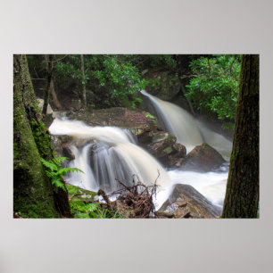 Teken Creek-Herfsten Poster