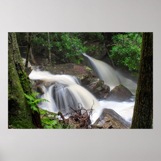 Teken Creek-Herfsten Poster (Voorkant)