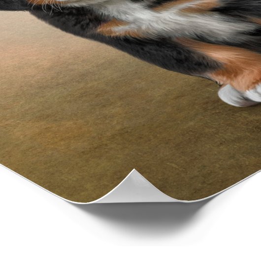 Teken puppy Bernese Mountain Dog Poster (Hoek)