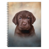 Teken puppy Labrador Notitieboek (Voorkant)
