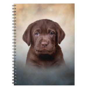 Teken puppy Labrador Notitieboek