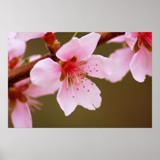 teken van de lentafdruk poster (Voorkant)