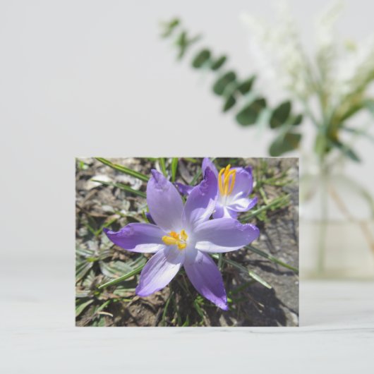 teken van de lente briefkaart (Staand voorkant)