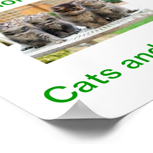 Teken van vandaag voor Kat & Kitten Aanneming Poster (Hoek)