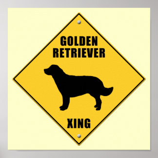 Teken voor Golden Retriever kruising (XING) Poster