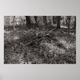 Teken - Warm Toned Black and White Poster