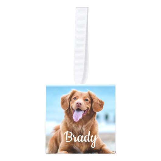 Tekenafdrukken op onze foto van het hoofdartikel decoratie (Voorkant)