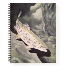 Tekenboek over forel