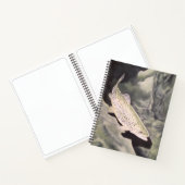 Tekenboek over forel notitieboek (Binnen)