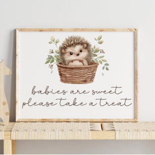 Tekenbord voor een zoete egel babyshower poster