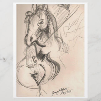 Tekenbrochure voor paarden Cello Flyer