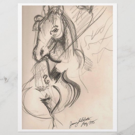 Tekenbrochure voor paarden Cello Flyer (Voorkant)