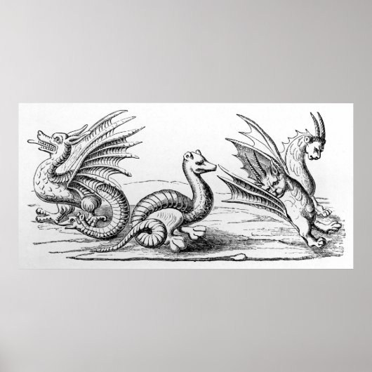 Tekenen Poster (Voorkant)