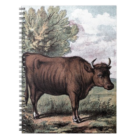 tekenen: Red Heifer Notitieboek (Voorkant)