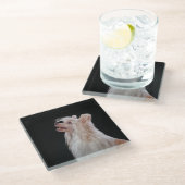 Tekenen van Chinese kruidhond Glazen Onderzetter (Schuin)