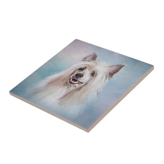 Tekenen van de Chinese kruidhond Medium Gift Bag M Tegeltje (Zijkant)