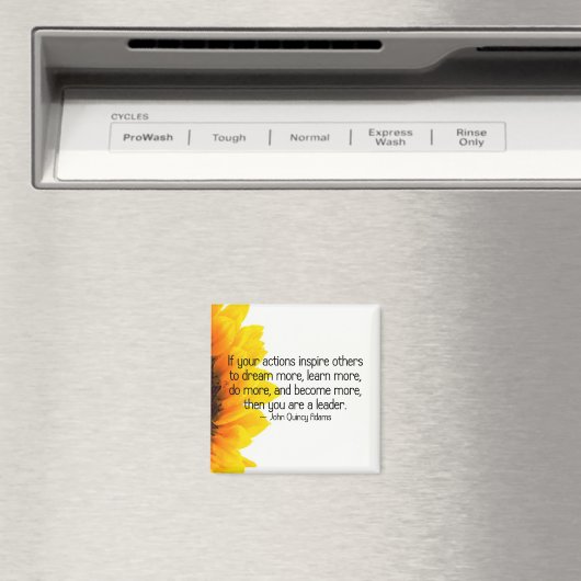 Tekenen van een echte leider magneet (Insitu (Vaatwasser))