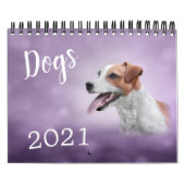 Tekenen van grappige honden kalender (Hoes)