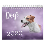 Tekenen van grappige honden kalender (Hoes)