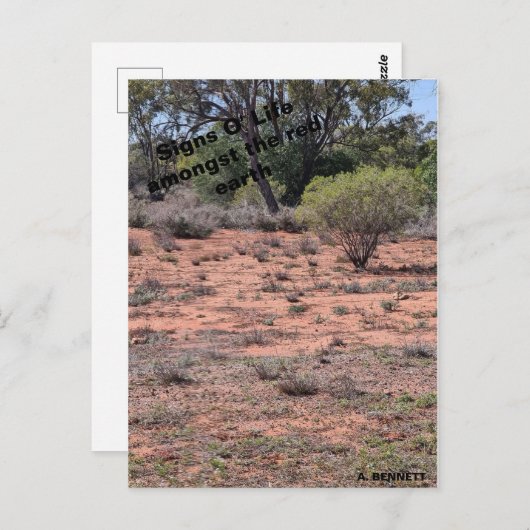 Tekenen van het leven briefkaart (Voorkant / Achterkant)