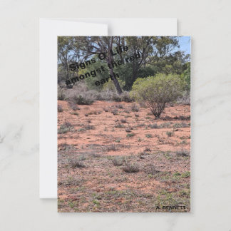 Tekenen van het leven briefkaart