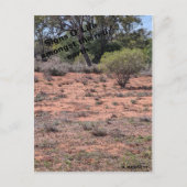 Tekenen van het leven briefkaart (Voorkant)