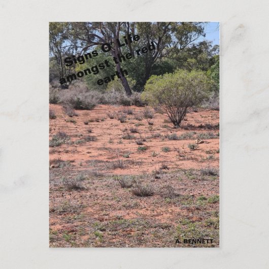 Tekenen van het leven briefkaart (Voorkant)